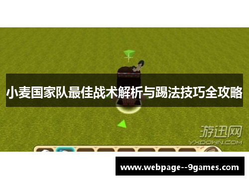 小麦国家队最佳战术解析与踢法技巧全攻略