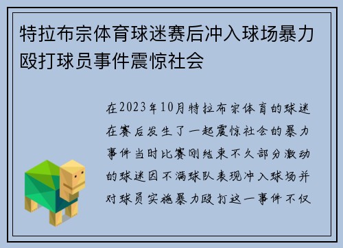 特拉布宗体育球迷赛后冲入球场暴力殴打球员事件震惊社会 特拉布宗体育球迷赛后冲入球场暴力殴打球员事件震惊社会